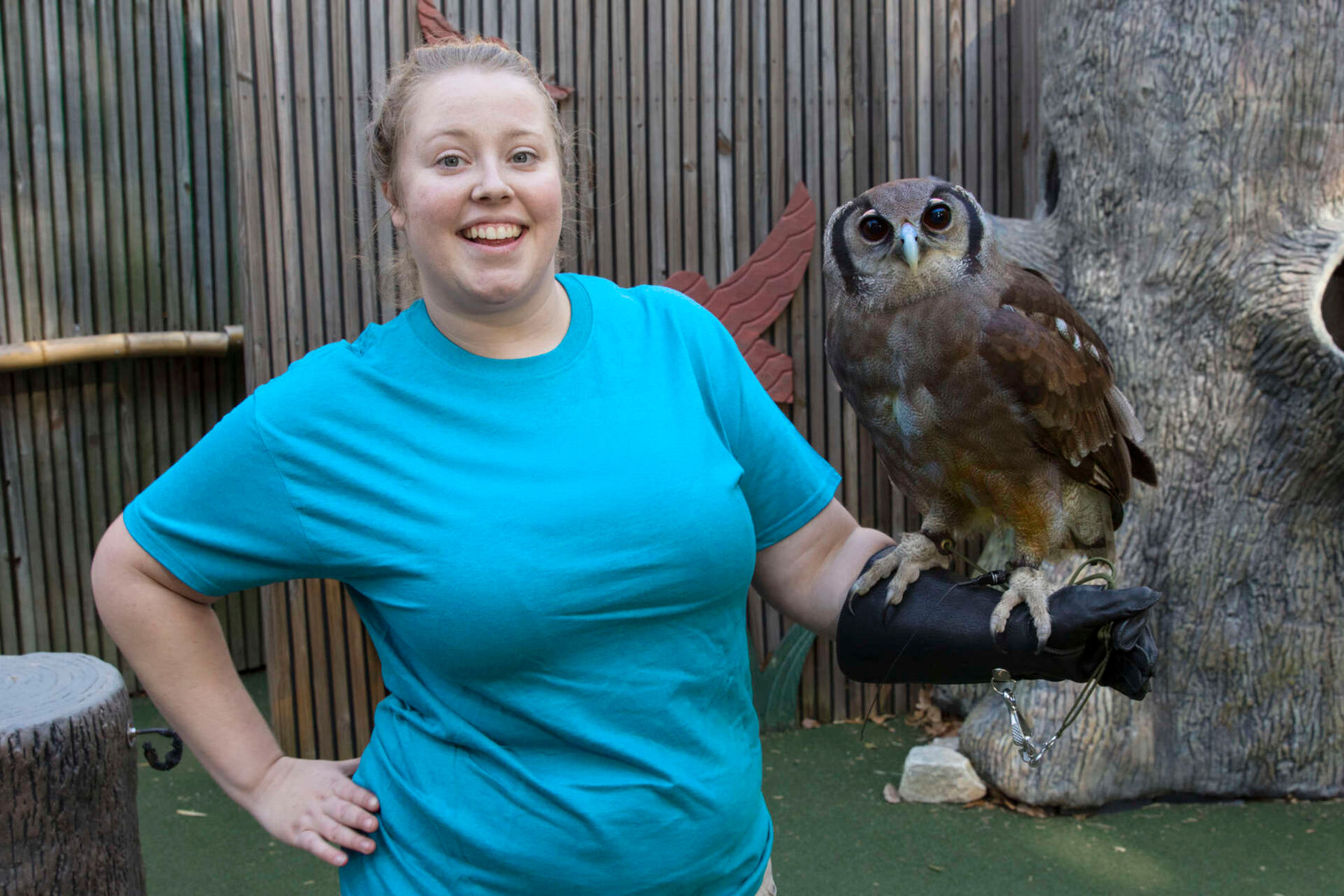 Bird trainer working with animals at the World of Wild Theater at Zoo Atlanta