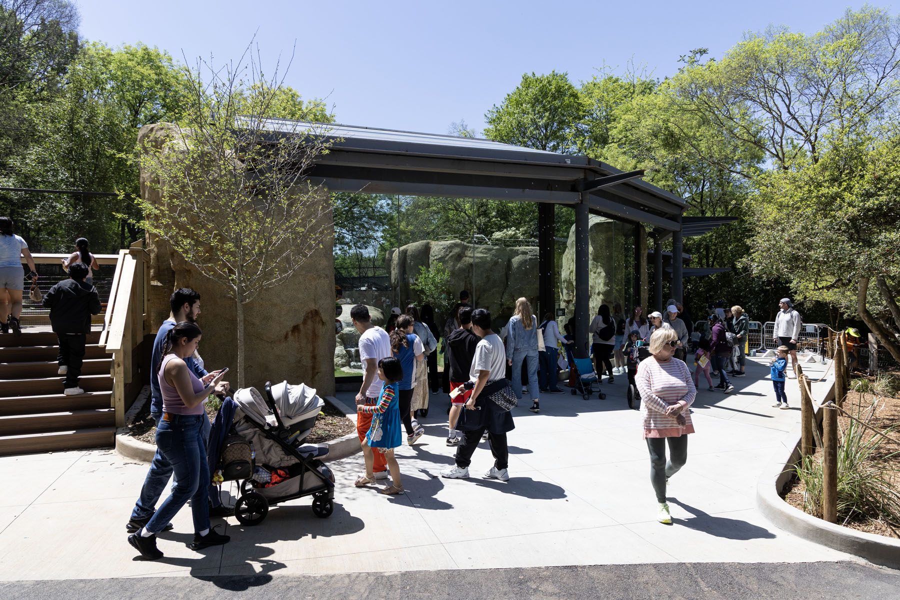 World Block Party at Zoo Atlanta — guests near lion habitat