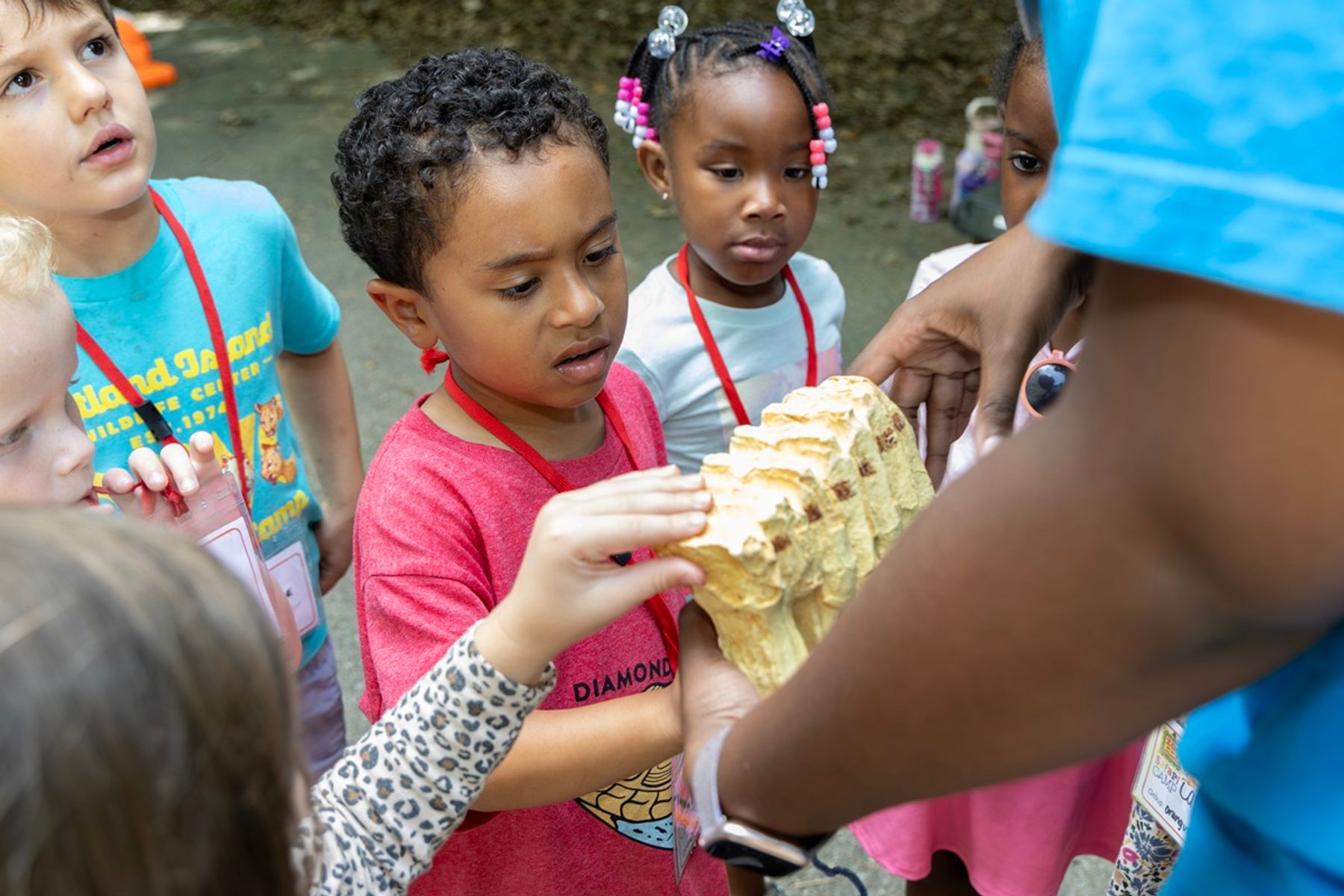 Children exploring Zoo Atlanta during a school-break day camp.