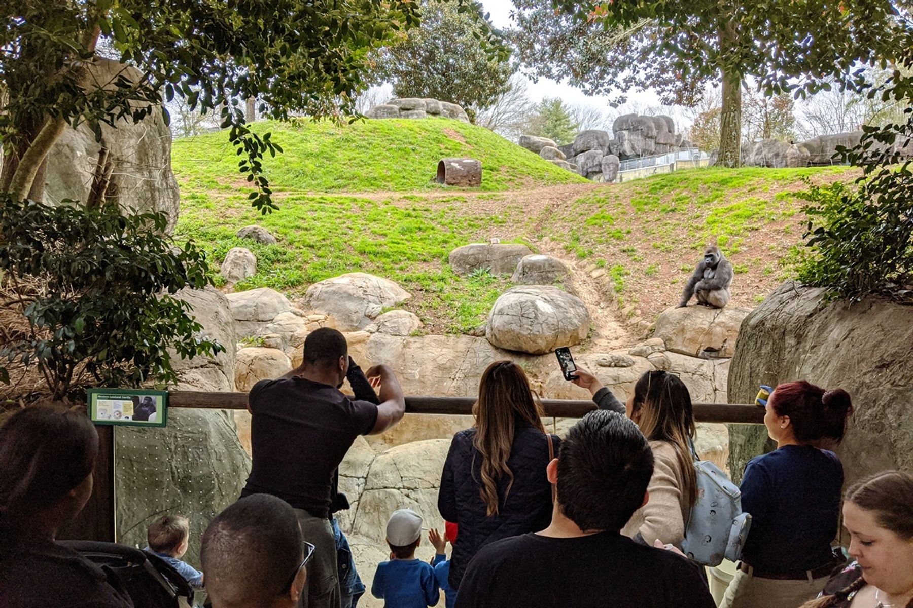 Mornings at the Zoo